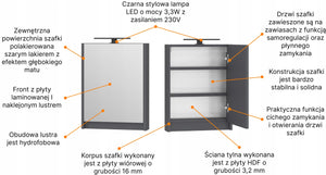 Szafa szafka łazienkowa wisząca z lustrem 50 cm antracyt mat. OMEBLE 14