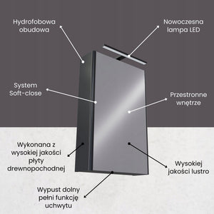 Szafka łazienkowa z lustrem i LED 50 SZARA malowana wysoki połysk OMEBLE 5